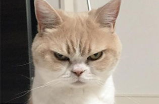 �������౻���ǳ��� ������֮���ǻ�ǳ��