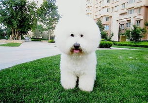 �������౻���ǳ��� ������֮���ǻ�ǳ��