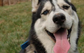 �������౻���ǳ��� ������֮���ǻ�ǳ��