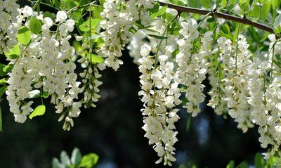 ������ô���浽���� ȥ��ˮ���Ժ�װ���ܷⱣ�ʴ�