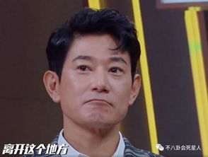 汪涵欧弟怎么了 有传闻称是汪涵与欧弟不和