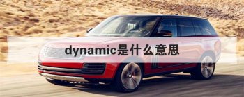 dynamic是什么意思 经常会出现使用错误的情况
