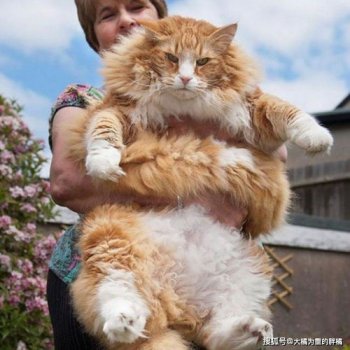 ����èΪʲô������ ֻ����Ϊ����������ԭ��