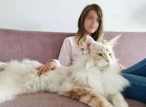 ����èΪʲô������ ֻ����Ϊ����������ԭ��
