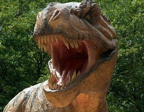 �Ϸ��������������˭ ���������Ϸ�������˭����