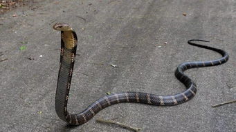 ���������۾������� û���߲����۾�����