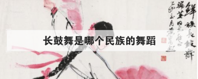 长鼓舞是哪个民族的舞蹈 长鼓舞是我国少数民族