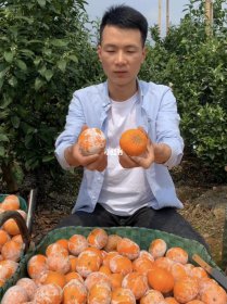 ï�ȸ�ΪʲôҪͿʯ�� Ϊʲô��ʯ�Һ������