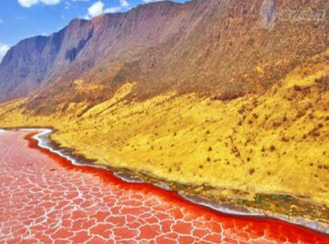 �����������γɹ��� ���ɵ��صĶϲ��λ�γɵ�