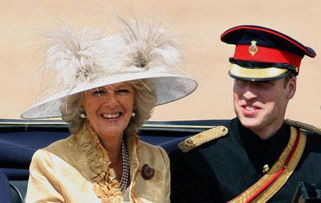 �����������Ῠ������