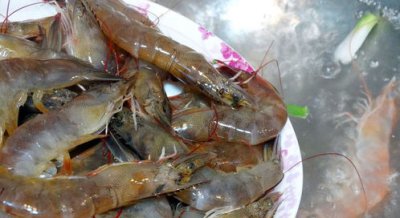 虾煮几分钟就熟了有点黑 有时虾头会变黑