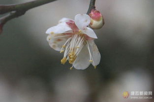 避雷针是谁发明的 是本杰明·富兰克林发明的