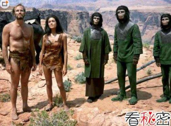 ��Գ�ӽ��ɹ����� ��Գ�ӽ��Ŀ����Դ󲻴�