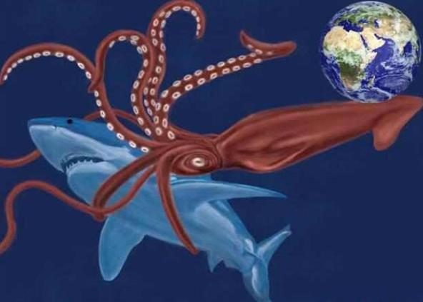 巨枪乌贼为什么不能吃 巨枪乌贼可以打败抹香鲸吗