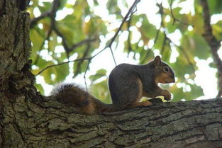 ����ҧ�˺�Ϊʲô���� ����Ϊ�����������岻�Ǻܺ�