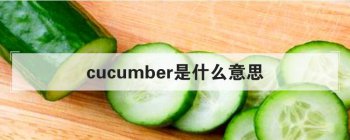 cucumber��ʲô��˼ ��һ����ʳ����ĳ����⿵ļ���