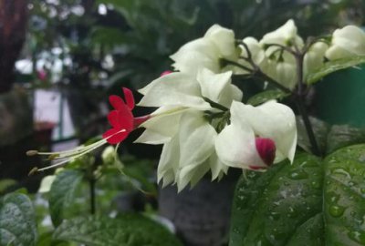 ʲô�Ǿ������� ��������Ϊʲô������