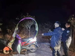 ������Ҿ���� �Ҿ��Ƚ���ʵ