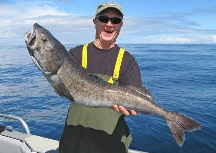 ��������������� �������Ӫ����ֵ