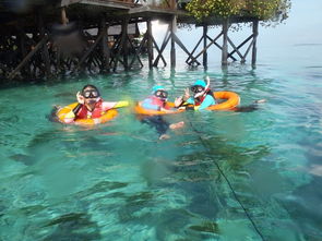 马来西亚真的很危险吗 在法律和秩序方面都不是很好