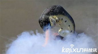 ���վ����ɽ��¼�������� ��������Ǳ��Ż��ɵ�̬��