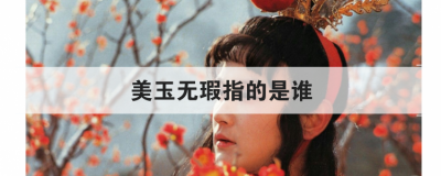 美玉无瑕指的是谁 这一四字成语的出处