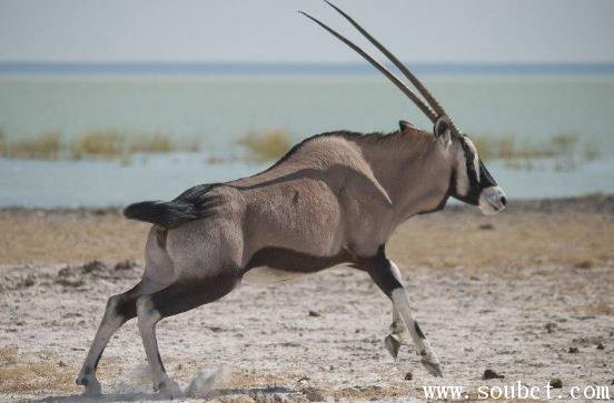 ��������ߴ������ʲô �������������������