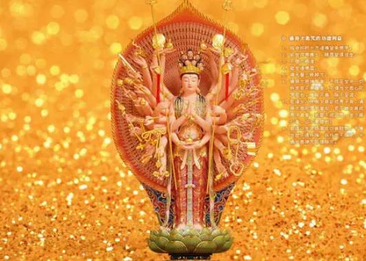 �������Ա��й��� �������й���������