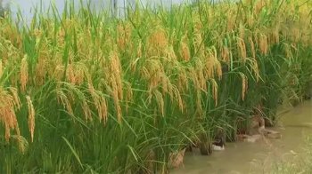 ������Ϊʲô�ж� ��Ϊר����ʬ��Ϊʳ�Ǽ���֮��