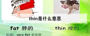 thin是什么意思 作形容词用的时候意思是薄的