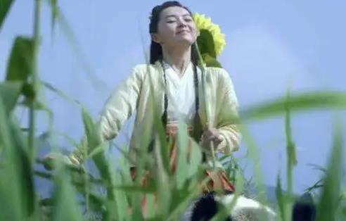 呵呵姑娘真实身份 年幼流落街头后来成为了职业杀手