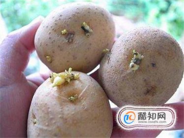 ���������������׷�ѿ ˭˵��ѿ�������ܳ�