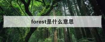 forest是什么意思 既可以作动词又可以作名词