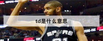 td��ʲô��˼ td��Ա����ָ������һλ����