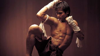 ����ǿɭ��ʲô���� ��ʯǿɭ����ԭס����Ħ���˵�Ѫͳ