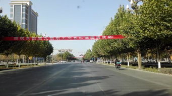 阿拉尔市属于哪个地区 阿拉尔市属于哪个市