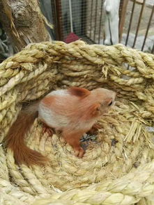 ����һ������������� һ�㵽��һ��֮�ھ�������