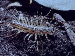 ����������Ԥʾ��ʲô Ԥ����ļ���ƫ��ʪǮ����