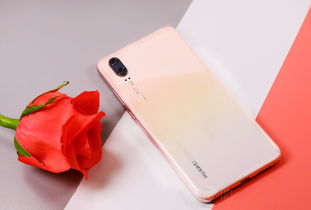 ˹�����ָ�֮�����Ŀ� �������ۼ�Ϊ155Ԫ