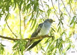 ���������ʲô���� ��������ũ����Ҫȥ��������