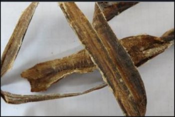 蚯蚓100斤晒干有多少 晒干后大约有8-14斤