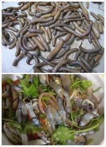 �ඡ��ɳ����ʲô��ͬ �ඡ��ɳ�������