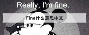 Fineʲô��˼���� ���Ӣ�ĵ��ʵĶ����÷�