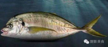 ���bissʲô�� ������������г����