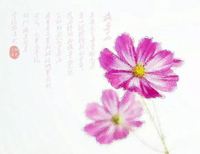 ��ɣ��ʲô��˼ �ǡ�����ʱ�⡱���Ҹ�������˼