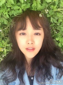 �ξ��������� ��Ԭ�����ŵ����Ƿ���ʵ