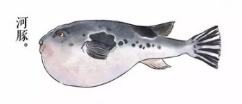 ���Ǻ�������ʱ����һ����ʲô ����������«ѿ��