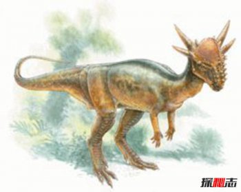 ����������10ֻ���� ������Ŀ�������ǰʮ��