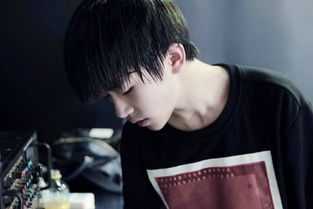 �Զ�˳Ϊʲô���й� ���ų��Զ�˳���ͷŻ���ɽ��