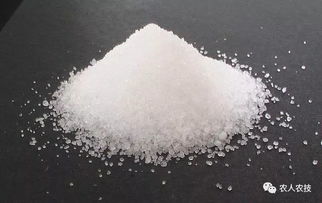 磷酸二氢钾能控旺长吗 可以控物旺长
